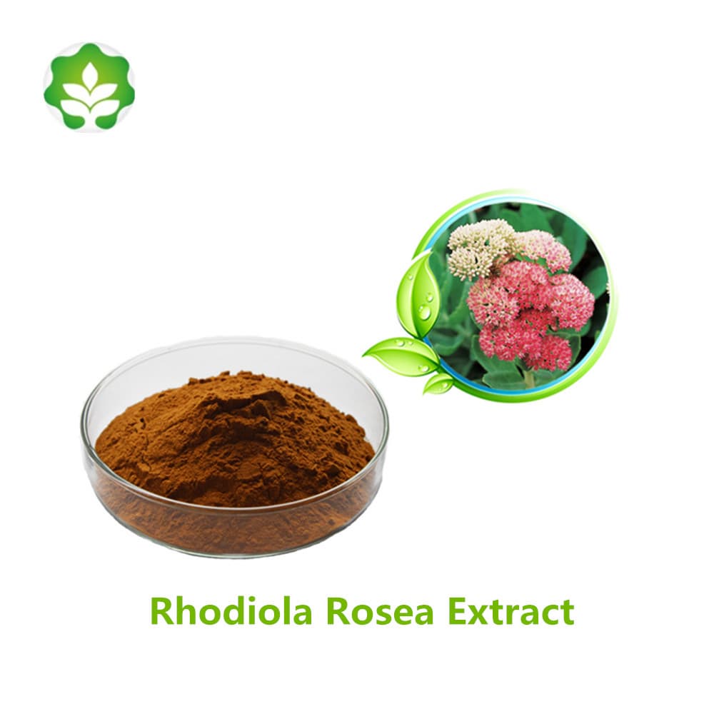GMP certificated rhodiola rosea extract for herb pharm